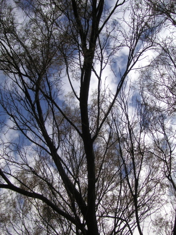 s_A_PICT0328.jpg